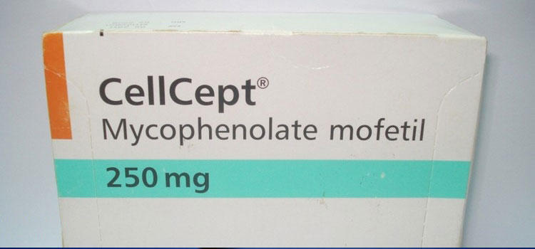 order cheaper cellcept online in Colona, CO
