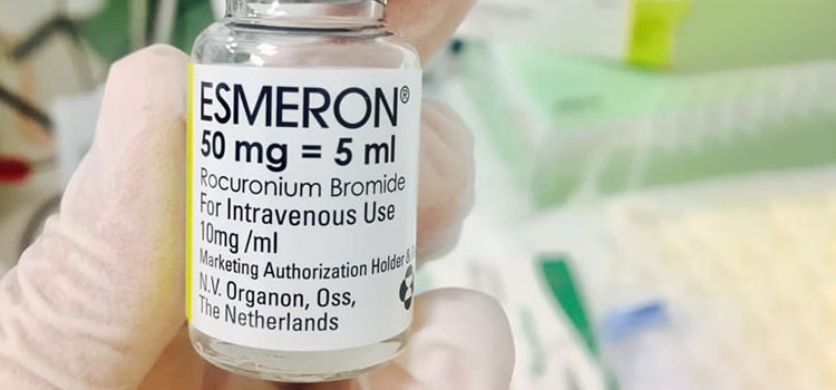order cheaper esmeron online in Acres Green, CO