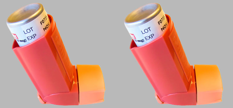 order cheaper flovent online in Acres Green, CO
