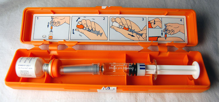 order cheaper glucagon online in Acres Green, CO